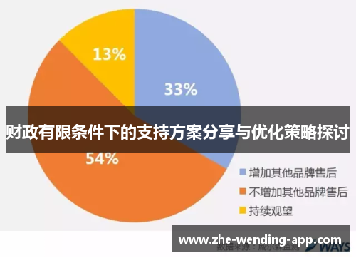 财政有限条件下的支持方案分享与优化策略探讨
